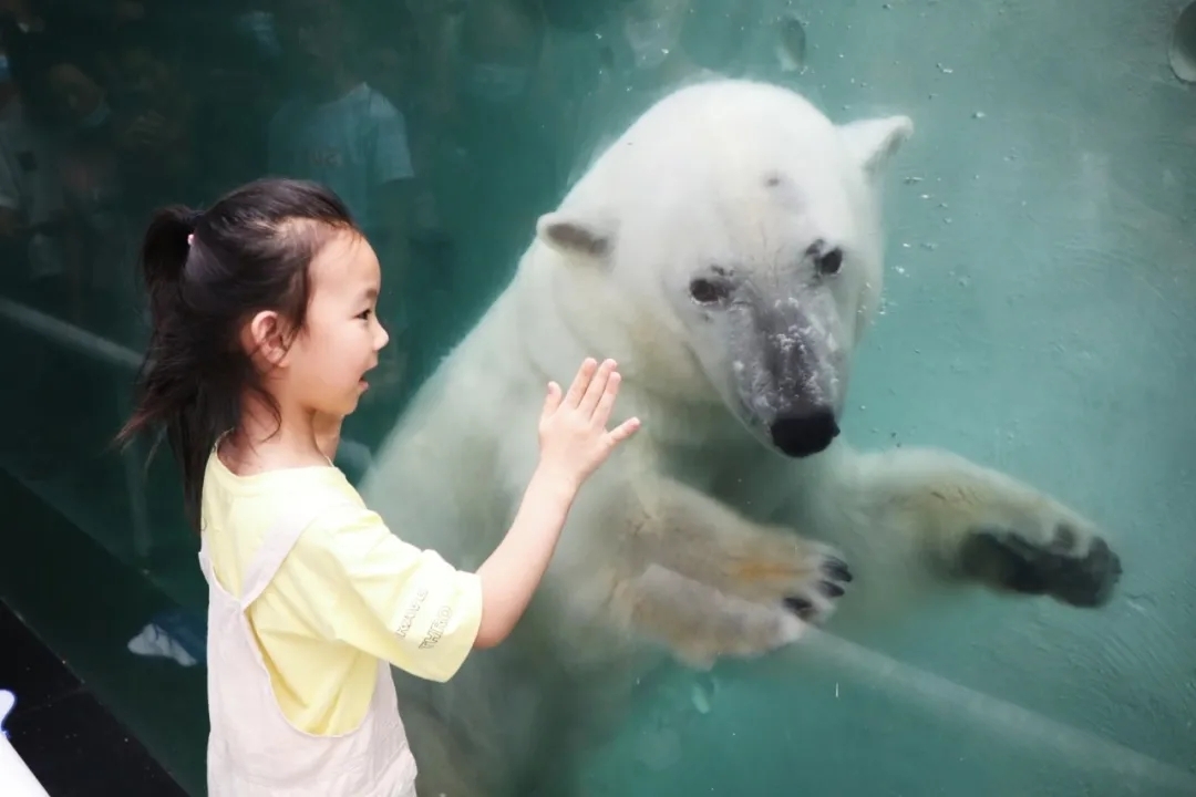 超值丨1大1小僅需258元，還送秦嶺野生動(dòng)物園親子票